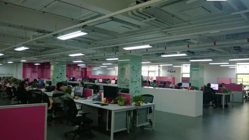 多图直击 蓬勃发展的顺义文化企业——计算机领域内的技术开发