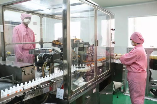 白云山敬修堂研发团队 荔湾科技工作者的数字创新之路